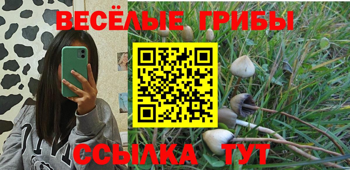 Галлюциногенные грибы Psilocybe  Вход с VPN  Галлюциногенные грибы Psilocybe  Электросталь 